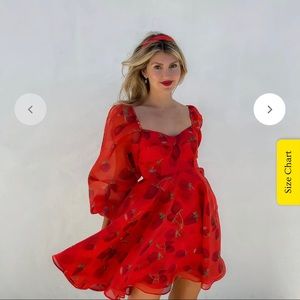 Selkie Strawberry Princess Dress. Size xs.